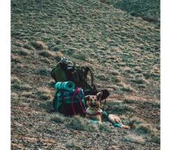 Lowland Super Compact Blanket -Vango Winkel 3244867 8718627782682 5