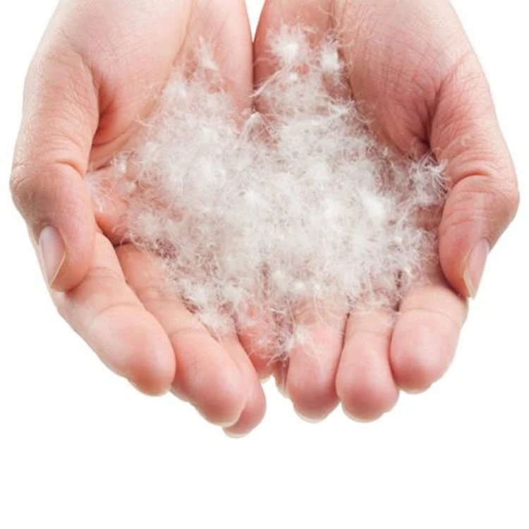 Lowland Companion Junior Slaapzak 4 Lowland Companion Junior Slaapzak - Afbeelding 4